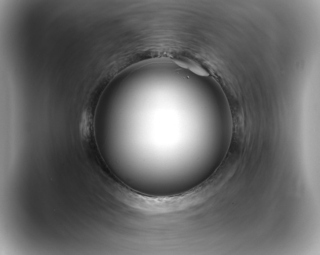 X0000088750038200705311520