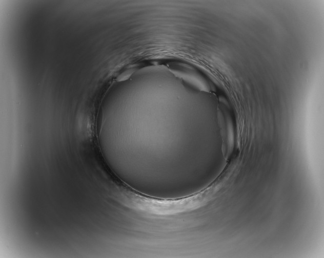 X0000088750039200705311520