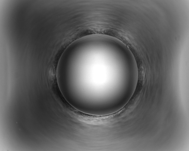 X0000088750040200705311520