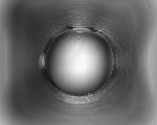 X0000088750042200705311520