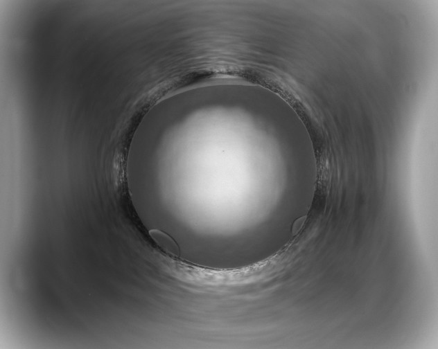 X0000088750043200705311520