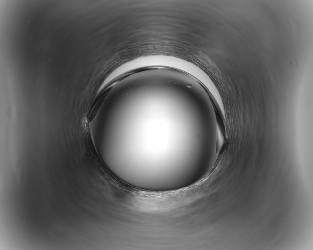 X0000088750045200705311520