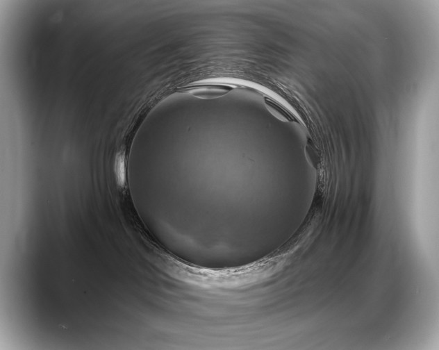 X0000088750046200705311520