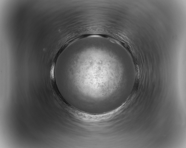 X0000088750047200705311520
