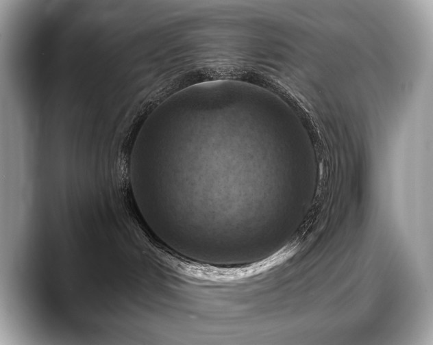 X0000088750048200705311520