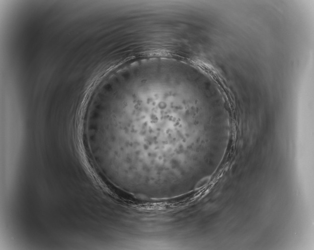X0000088750049200705311519