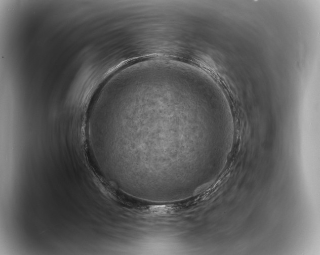 X0000088750050200705311519