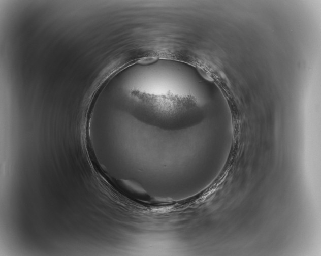 X0000088750051200705311519