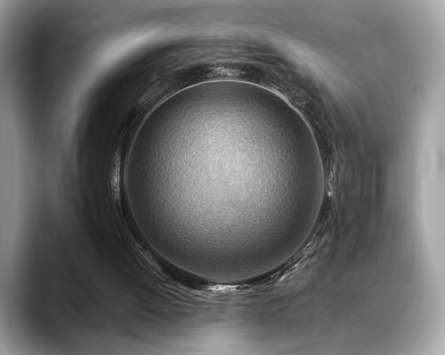 X0000088750052200705311519