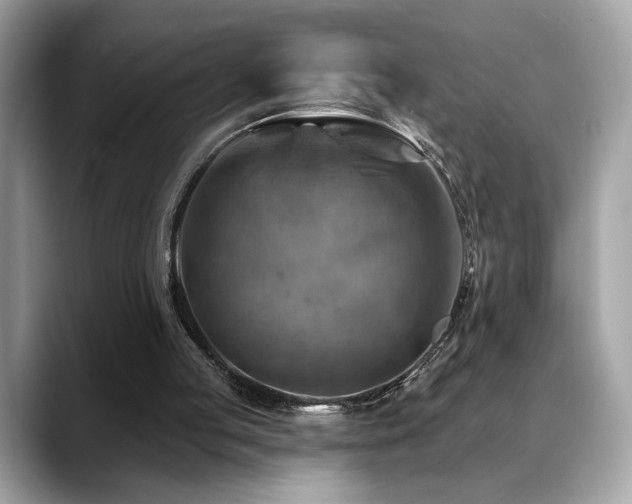 X0000088750053200705311519