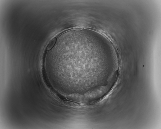 X0000088750055200705311519