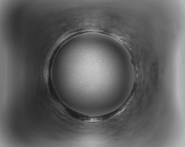 X0000088750056200705311519