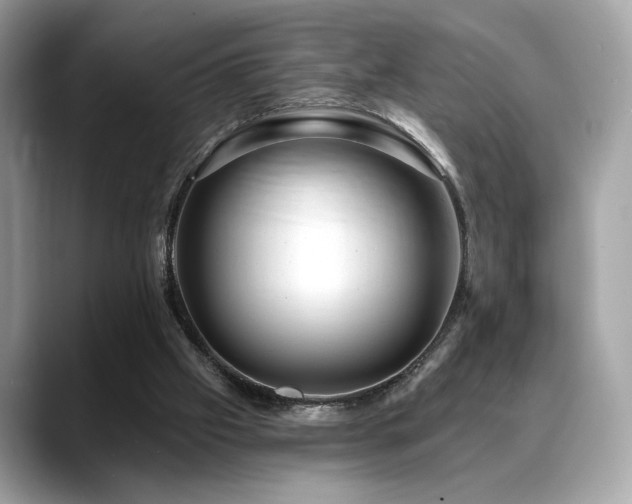 X0000088750057200705311519