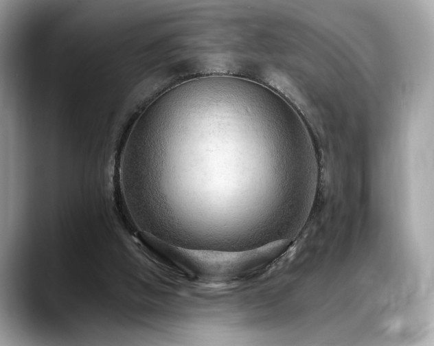 X0000088750058200705311519