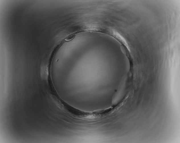 X0000088750059200705311519