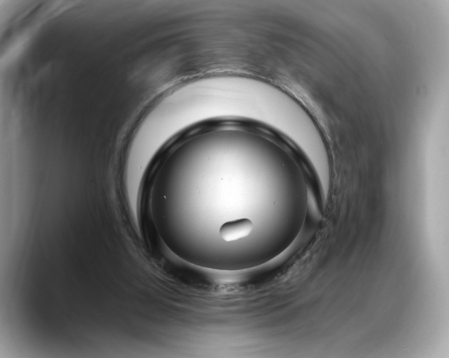 X0000088750060200705311519