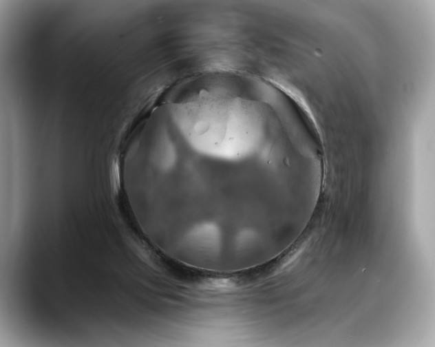 X0000088750061200705311519