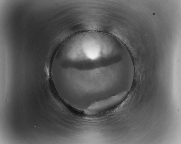 X0000088750062200705311519