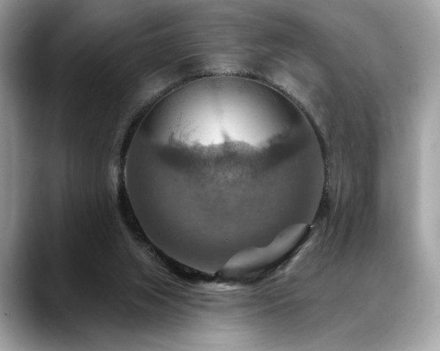 X0000088750063200705311519