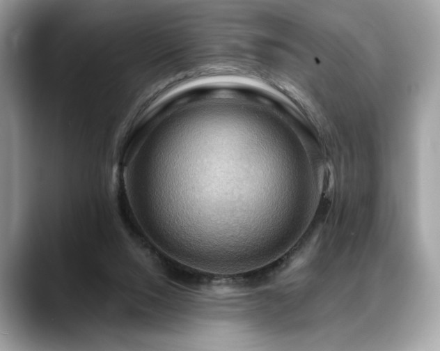 X0000088750064200705311519