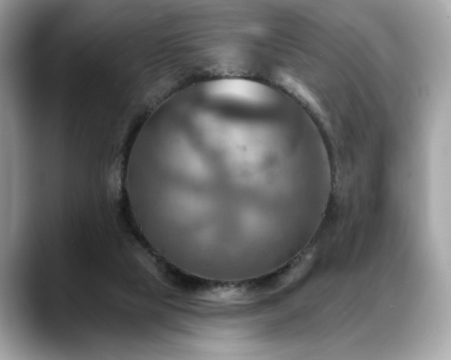 X0000088750065200705311519