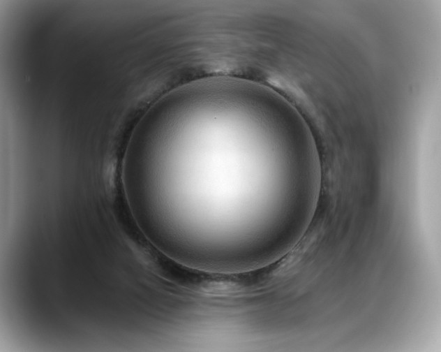 X0000088750066200705311519