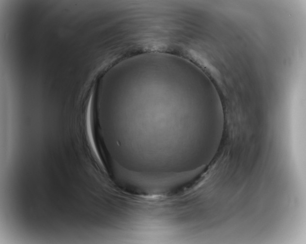 X0000088750067200705311519