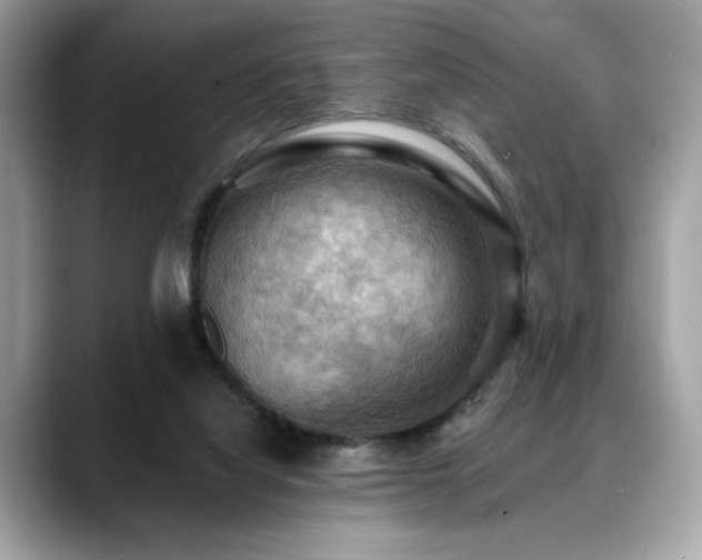 X0000088750068200705311519
