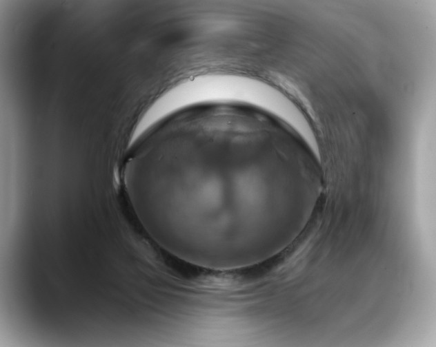 X0000088750069200705311519