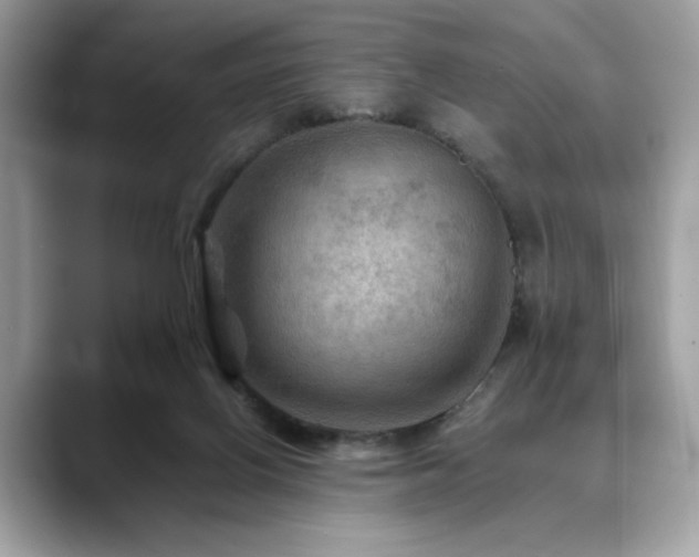 X0000088750070200705311519