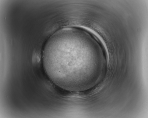 X0000088750072200705311519