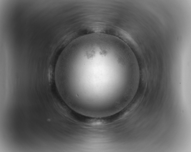 X0000088750073200705311520