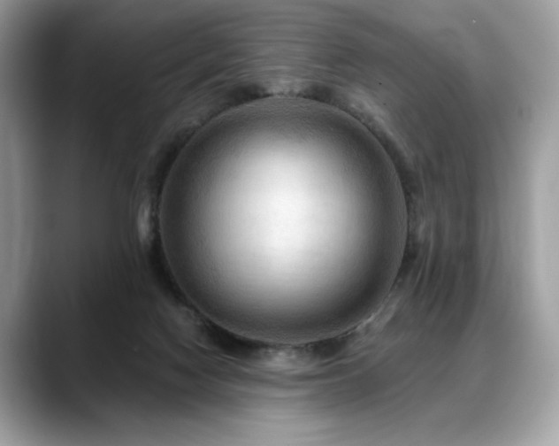 X0000088750074200705311520
