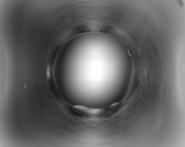 X0000088750075200705311520