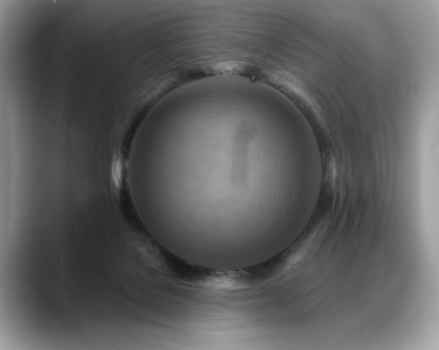 X0000088750076200705311520