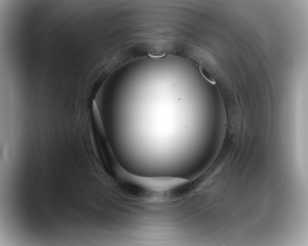X0000088750077200705311520
