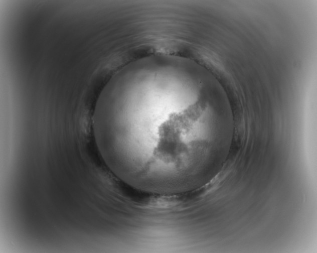 X0000088750078200705311520