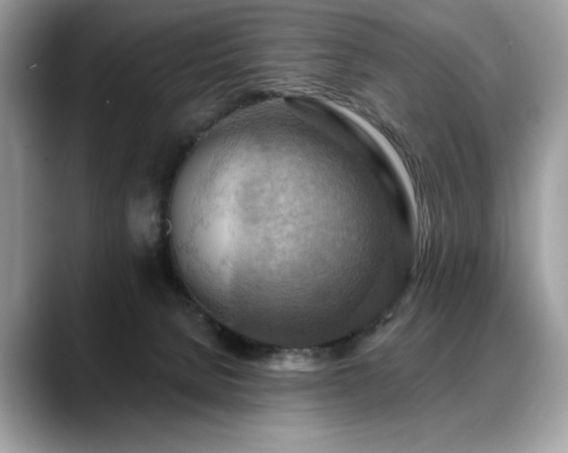 X0000088750080200705311520