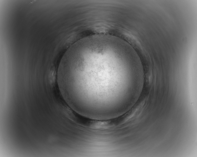 X0000088750081200705311520