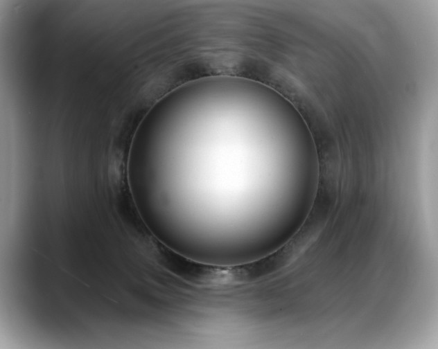 X0000088750083200705311520