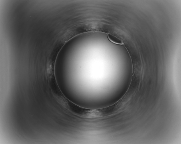 X0000088750087200705311520