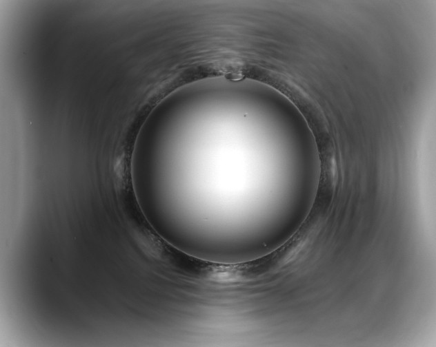 X0000088750088200705311520