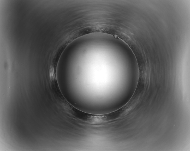 X0000088750089200705311520