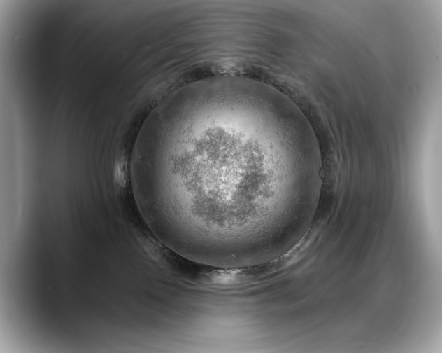 X0000088750090200705311520