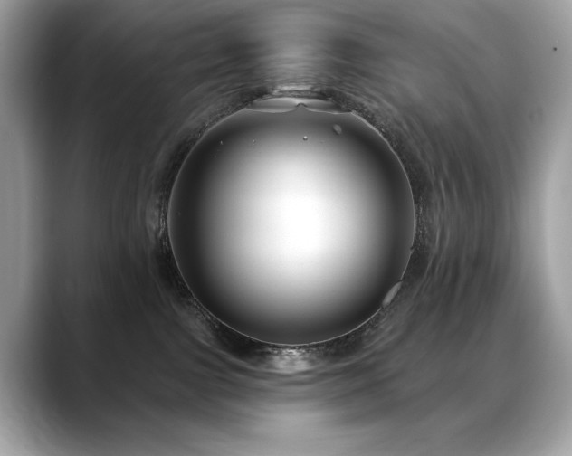 X0000088750091200705311520