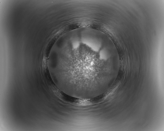 X0000088750093200705311520