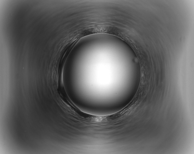 X0000088750096200705311520