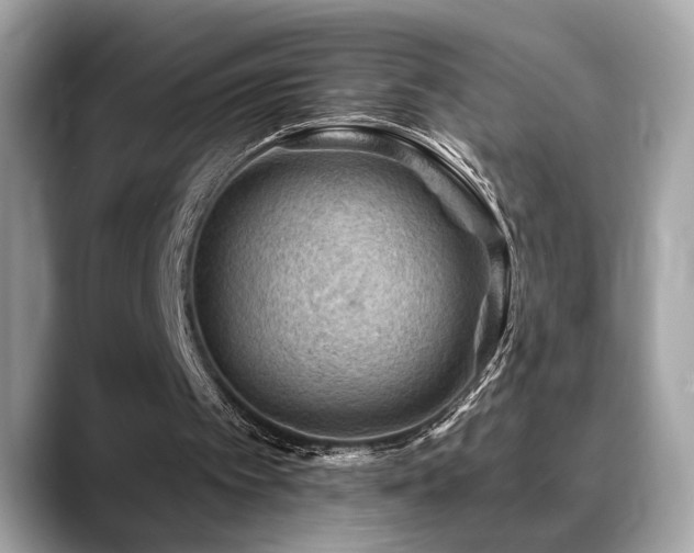 X0000088750097200705311519