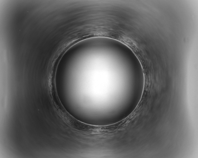 X0000088750098200705311519