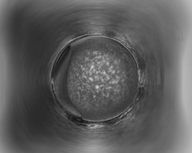 X0000088750099200705311519